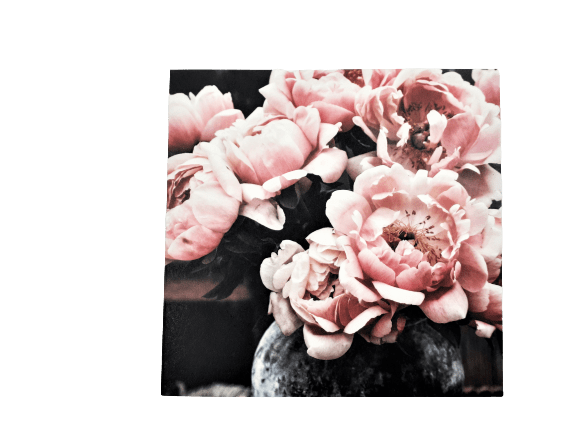 kort med rosa blommor