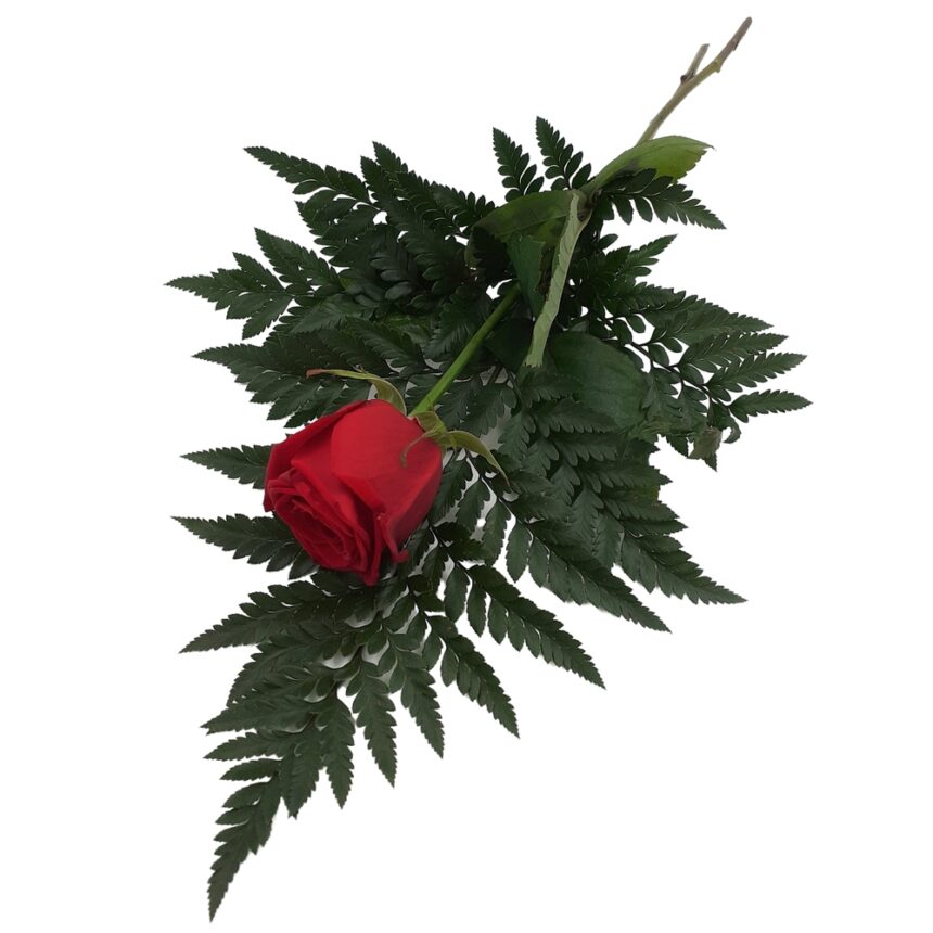 Handbukett röd ros hos Bellis blomsterhandel.