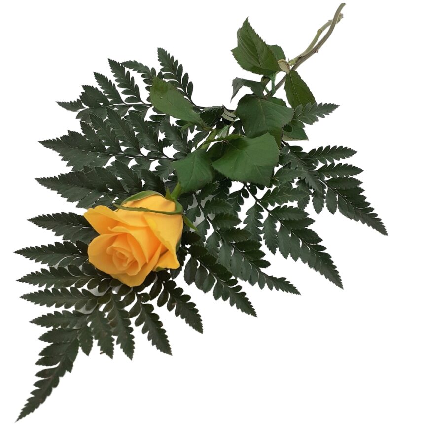 Handbukett gul ros hos Bellis blomsterhandel.