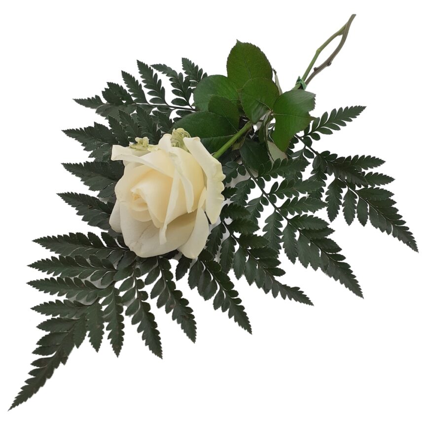 Handbukett vit ros hos Bellis blomsterhandel