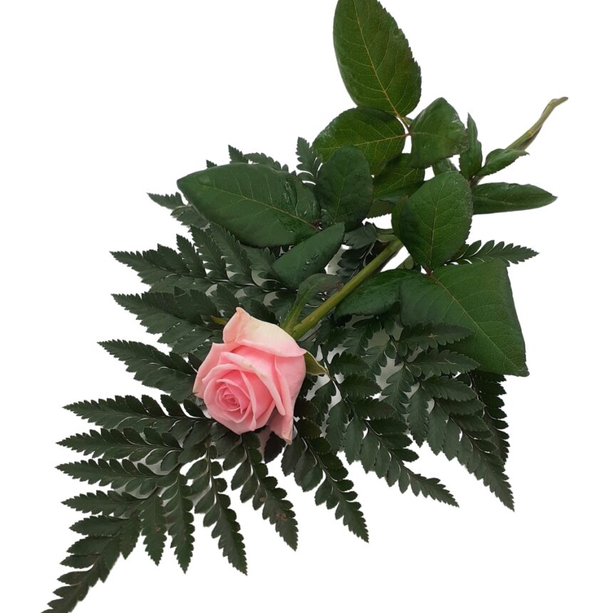 Handbukett rosa ros hos Bellis blomsterhandel.
