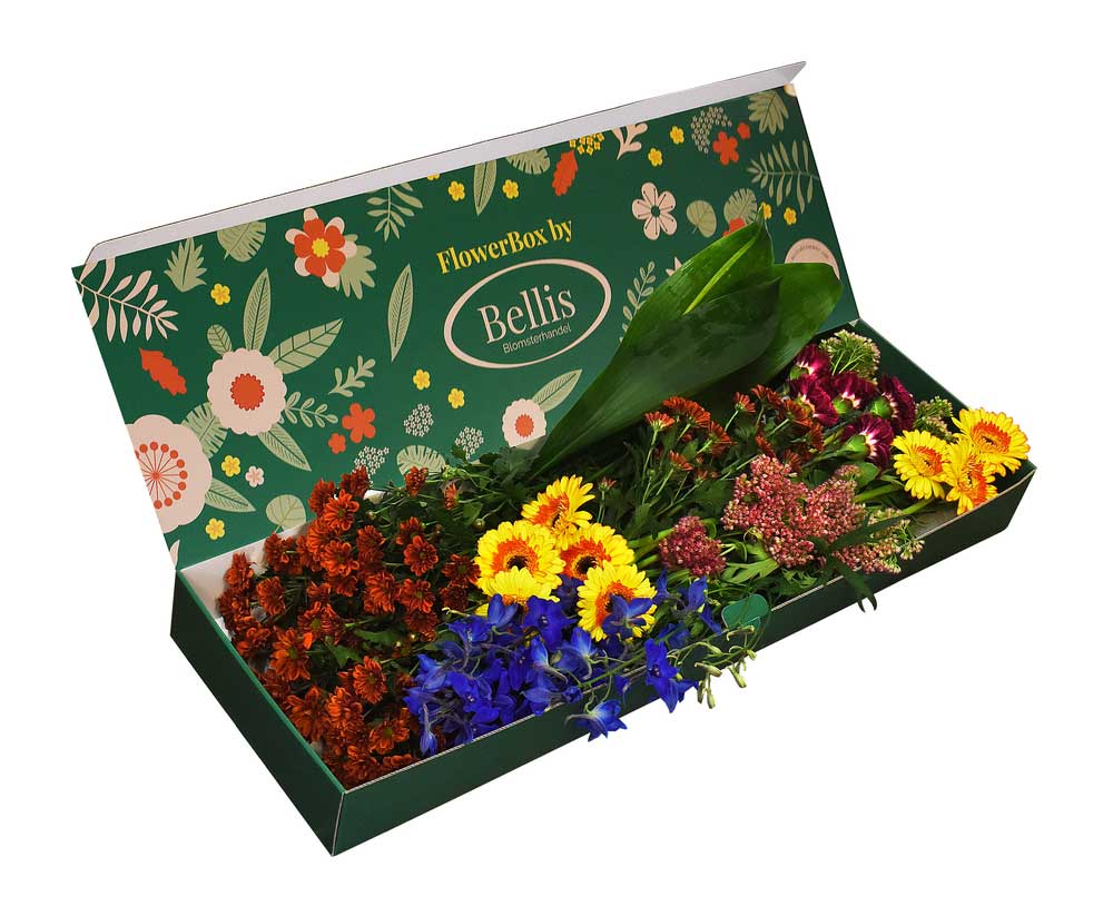 Blomprenumeration flowerbox bellis blomsterhandel
