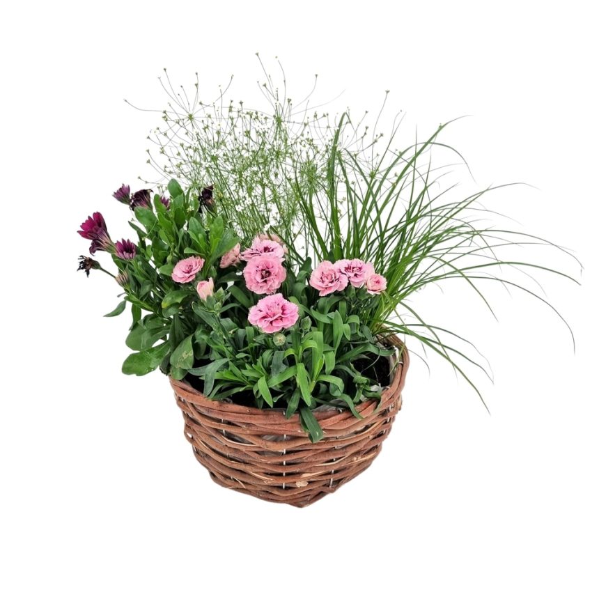 plantering-mellan