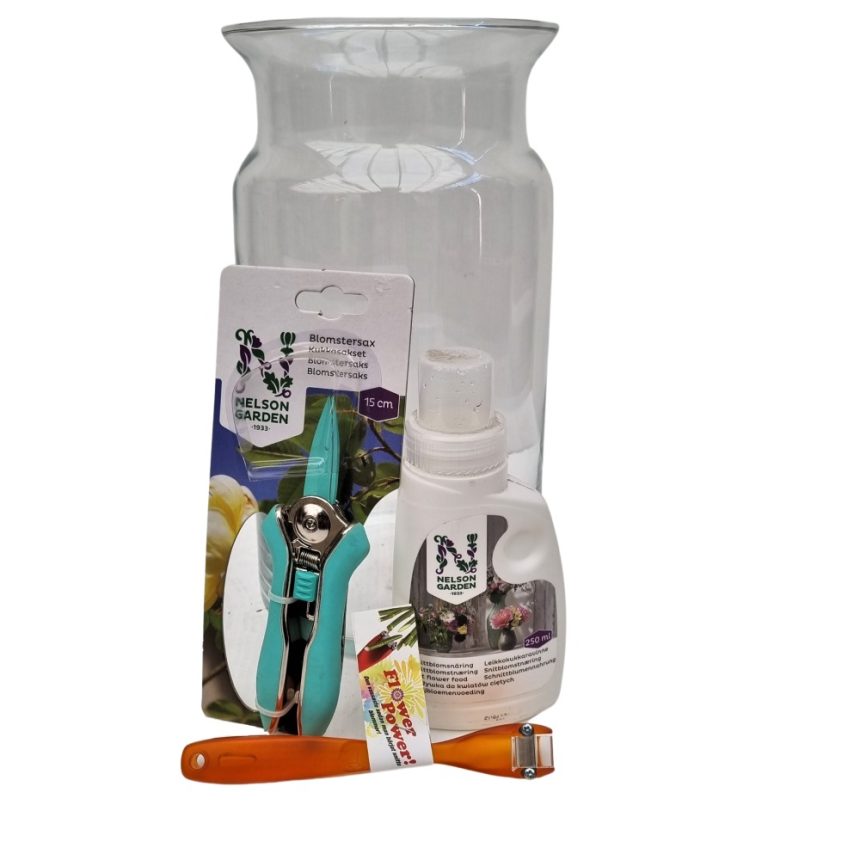 startpaket-flowerbox